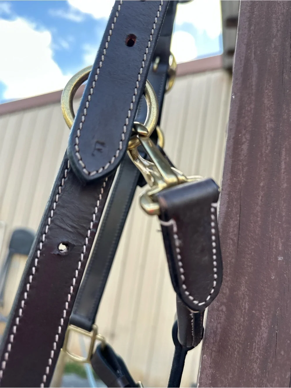 Brown Leather Horze horse Halter with White Stitching - Picture 5 of 8